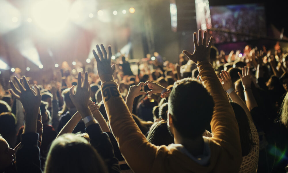 public-event-security