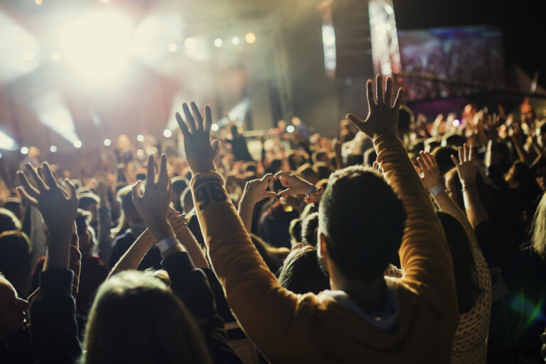 public-event-security